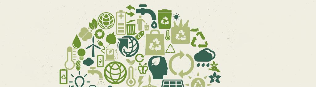 Request More Information On Environmental Governance Policy