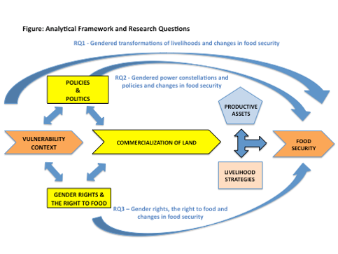 Analytical Framework graphic