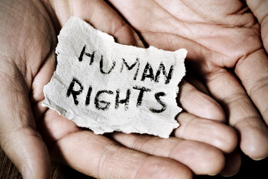 Oana Ichim human rights