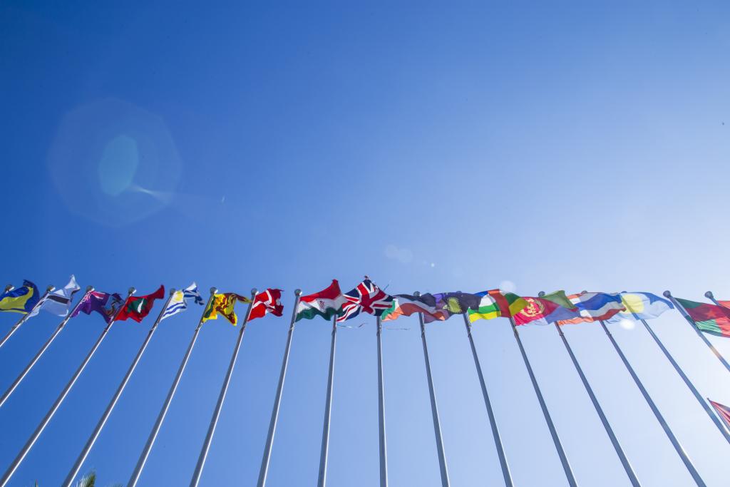 A set of world flags against a blue sky