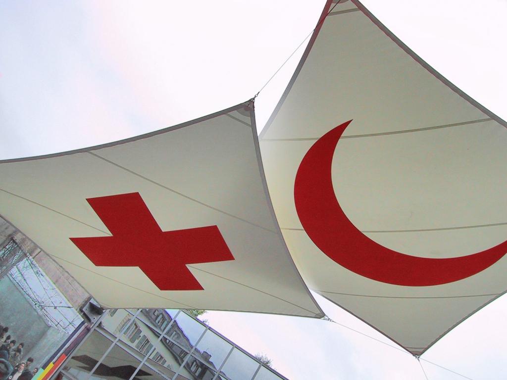 Image of the IFRC Flags