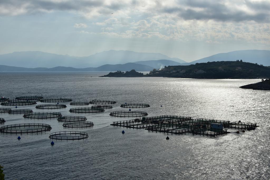 ESG Reporting In The Seafood Industry