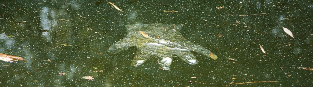 Un gant jetable en plastique flottant dans un lac, symbolisant l’empreinte des activités humaines sur la planète