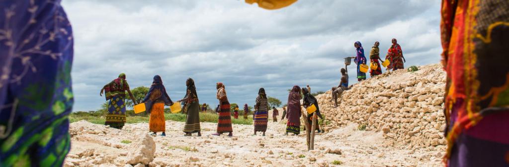 Executive Certificate on Gender and Risk Management in Climate Change