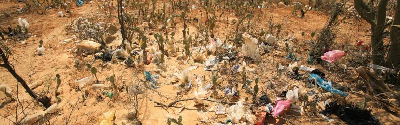 Garbage and plastic bags trapped in thorny bushes in the outskirts of Uribia
