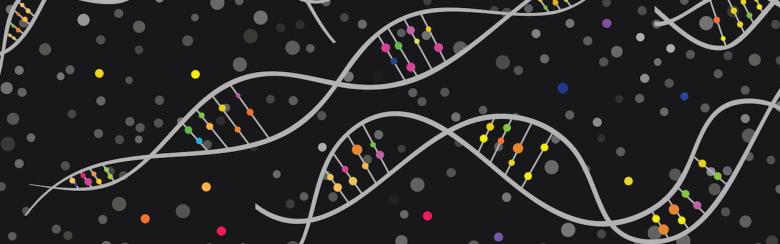 DNA chains with colorful molecules