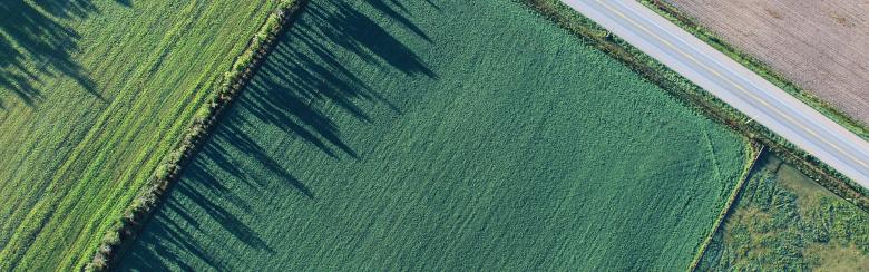 Farm fields aerial image