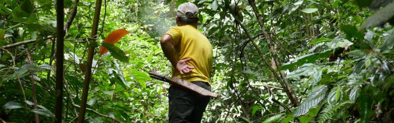 Photo of a man in the Upper Baram Forest Area (UBFA) park