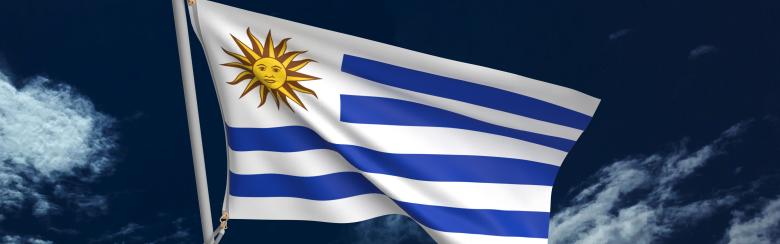 Uruguay flag