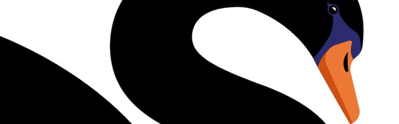Black swan illustration