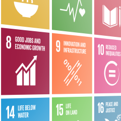 sdg portal static banner