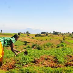 CIES_Uganda_03.2019