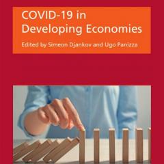 COVID-19 in Developing Economies