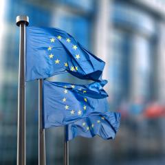 An Overview of the EU Taxonomy Regulation-related Disclosures