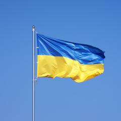 Ukraine Flag