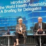 WHA delegate briefing panel