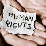 Oana Ichim human rights
