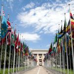 Flags, line the Allée des Nations in front of the United Nation’s Palace of Nations in Geneva.